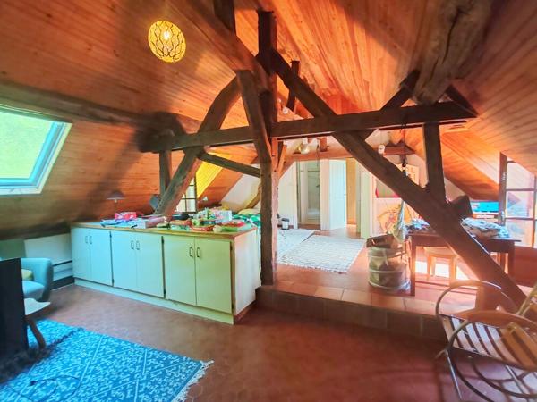 Maison Cande Sur Beuvron 10 pièce(s) 250 m2