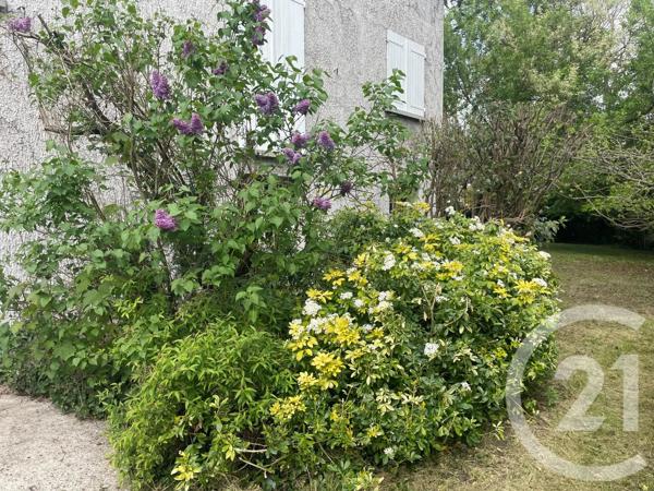 Maison à vendre  7 pièces - 231 m 2   MONTGERON  - 91