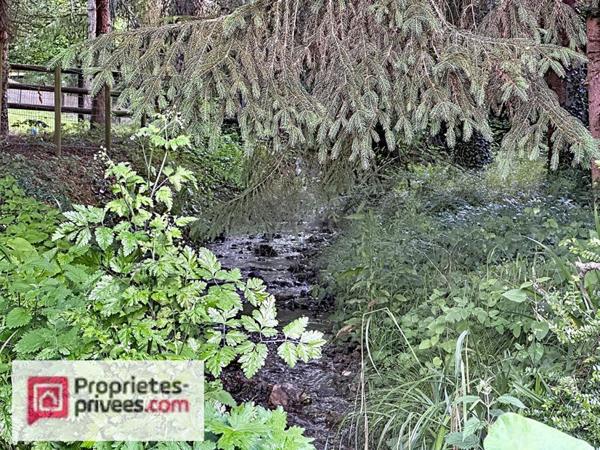 Maison familiale entre ville & campagne au bord d'un ruisseau protégé , à 5 minutes de Lisieux