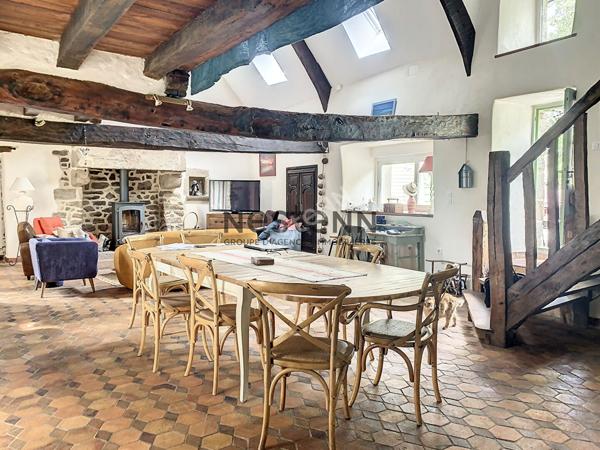 Charmante propriete en pierre dans un cadre paisible avec de superbes volumes