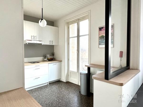 TRES BEL APPARTEMENT - NANTES CENTRE Nantes ()