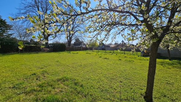 Ferme à rénover, énorme potentiel
