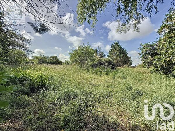 Maison à vendre 4 pièces 73 m² Le Veurdre