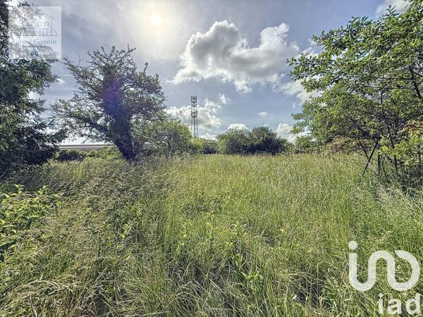 Maison à vendre 4 pièces 73 m² Le Veurdre