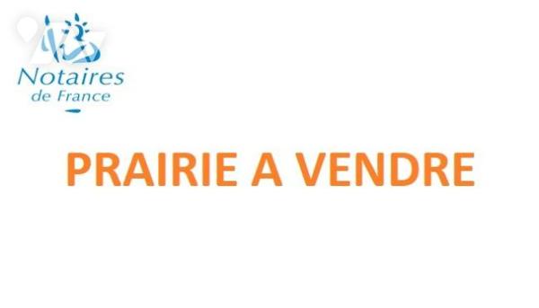 PRAIRIE A VENDRE A ORIGNY LE BUTIN