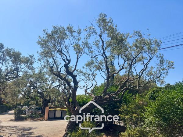 Appartement à vendre 3 pièces LA FARLEDE (83), 58m2 au calme à pied du village de la Farlède.