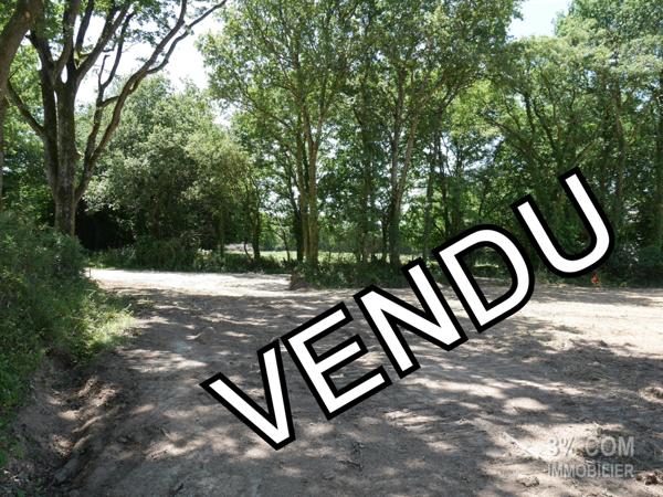 Terrain VIABILISÉ et ARBORÉ .... 601 m² à SAVENAY Savenay (44260)