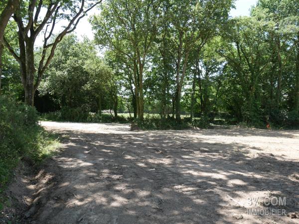 Terrain VIABILISÉ et ARBORÉ .... 601 m² à SAVENAY Savenay (44260)
