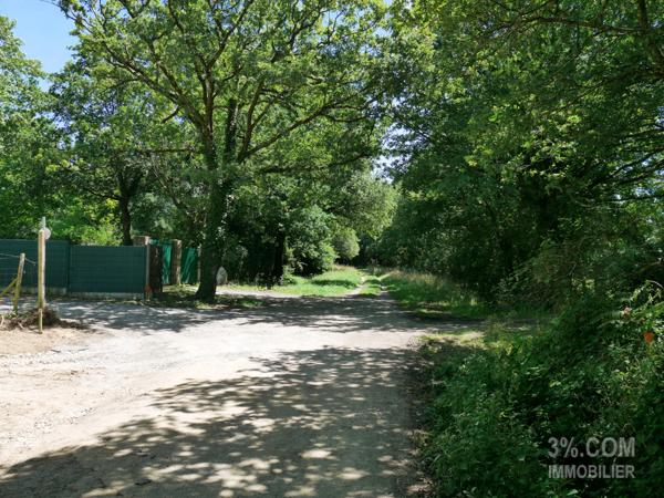 Terrain VIABILISÉ et ARBORÉ .... 601 m² à SAVENAY Savenay (44260)