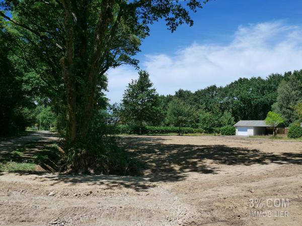 Terrain VIABILISÉ et ARBORÉ .... 601 m² à SAVENAY Savenay (44260)