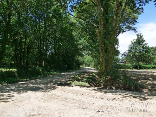 Terrain VIABILISÉ et ARBORÉ .... 601 m² à SAVENAY Savenay (44260)