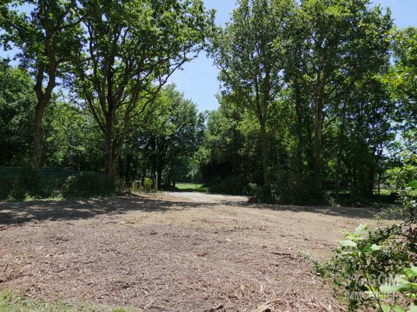 Terrain VIABILISÉ et ARBORÉ .... 601 m² à SAVENAY Savenay (44260)