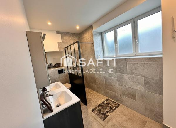 Investissez en bord de mer à lion sur mer