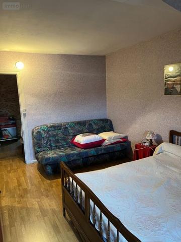 Maison à vendre à Châtillon-sur-Indre dans l'Indre (36700), ref : 1050354