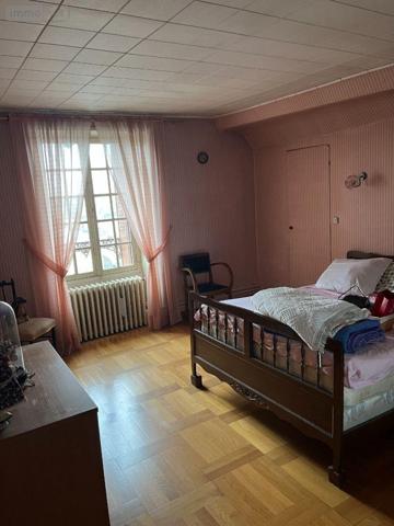 Maison à vendre à Châtillon-sur-Indre dans l'Indre (36700), ref : 1050354