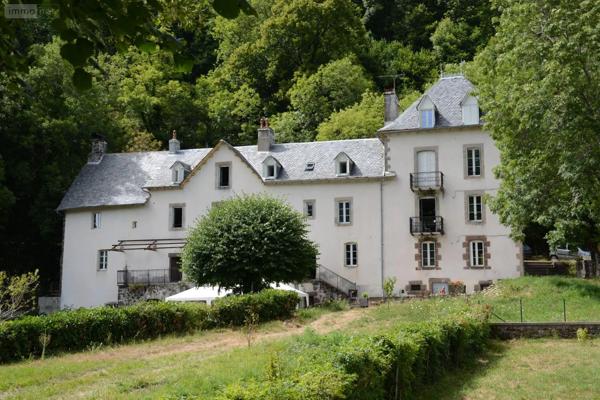 Achat - Propriété | Grande propriété Saint-Cirgues-de-Jordanne 15590 18 pièces 504 m 2 3787 m 2