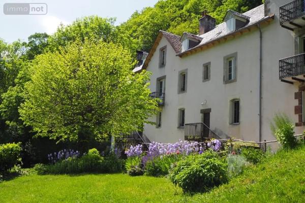 Achat - Propriété | Grande propriété Saint-Cirgues-de-Jordanne 15590 18 pièces 504 m 2 3787 m 2