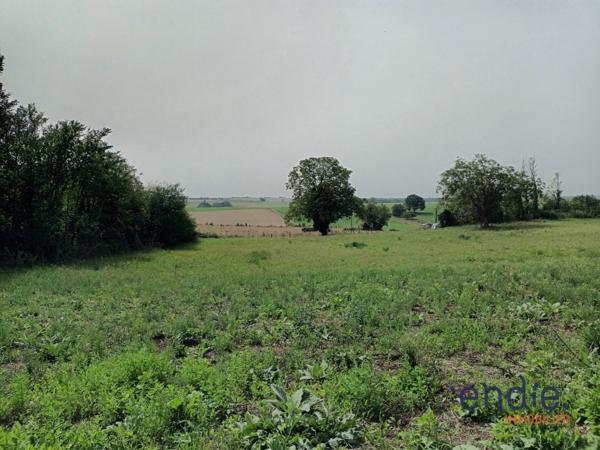 TERRAIN CONSTRUCTIBLE VUE PANORAMIQUE 1500 M² A 12 MN DE CHINON