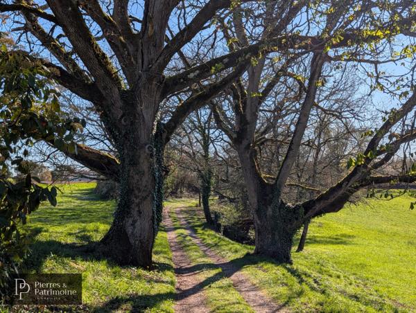 Calignac (47600) Propriété de caractère en pierre avec piscine et terrain autour de 4ha proche Nérac
