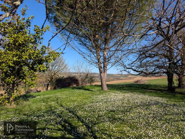 Calignac (47600) Propriété de caractère en pierre avec piscine et terrain autour de 4ha proche Nérac
