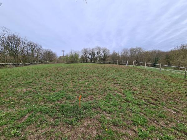 15 mn Angoulême centre à Ruelle sur Touvre : Maison de caractère de 160 m2, 2 hectares de prairies et de bois, Box pour chevaux.