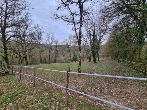 15 mn Angoulême centre à Ruelle sur Touvre : Maison de caractère de 160 m2, 2 hectares de prairies et de bois, Box pour chevaux.