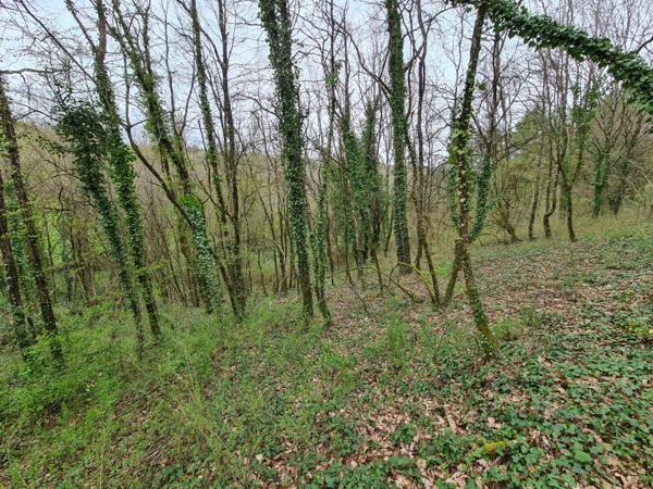 15 mn Angoulême centre à Ruelle sur Touvre : Maison de caractère de 160 m2, 2 hectares de prairies et de bois, Box pour chevaux.