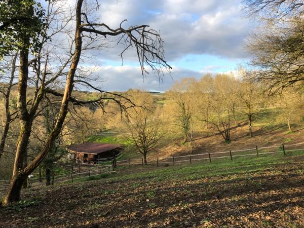 15 mn Angoulême centre à Ruelle sur Touvre : Maison de caractère de 160 m2, 2 hectares de prairies et de bois, Box pour chevaux.