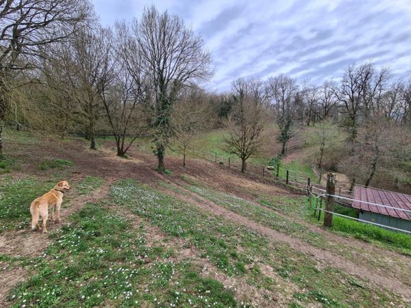 15 mn Angoulême centre à Ruelle sur Touvre : Maison de caractère de 160 m2, 2 hectares de prairies et de bois, Box pour chevaux.