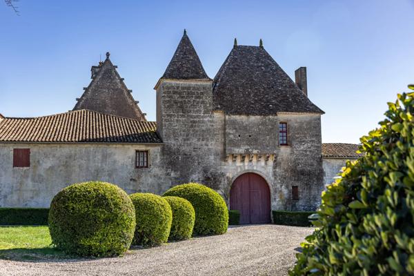 Château Castillon-la-Bataille - GIRONDE