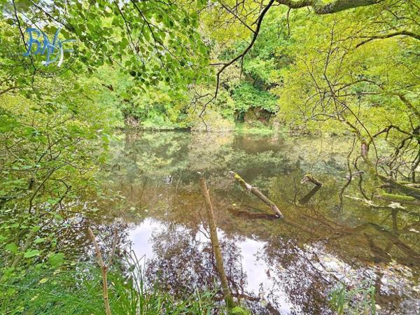 Maison à vendre à Mellac dans le Finistère (29300), ref : 29143-41