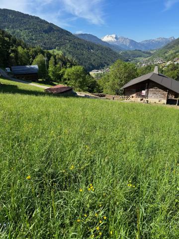 Terrain Le Grand Bornand