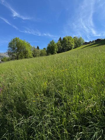 Terrain Le Grand Bornand