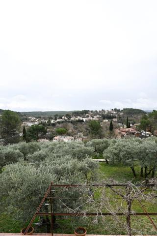 Bastide à vendre 7 pièces + dépendances (13)