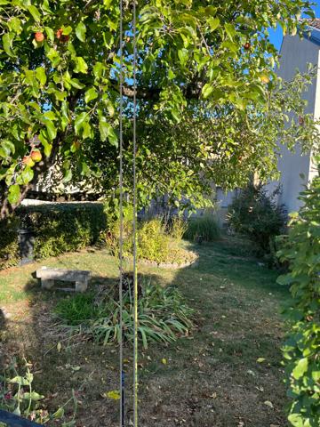 Maison T5 BAR SUR AUBE Ref 194