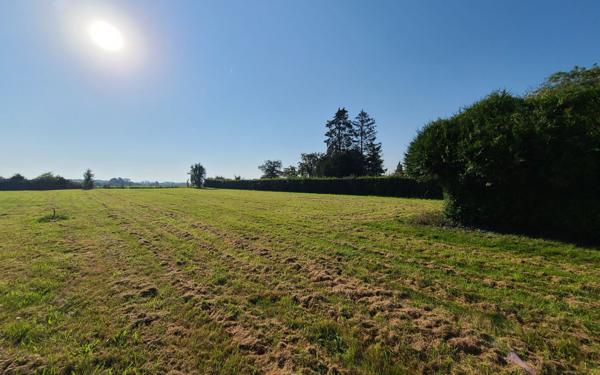 Terrain à vendre    Panilleuse