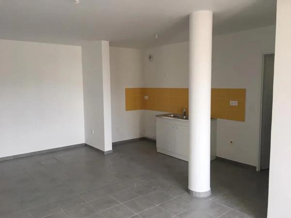 Appartement à louer à Nancy (54000)