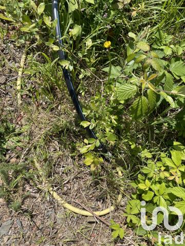 Terrain à vendre 2 024 m² Ploubezre