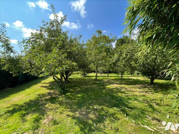 SECTEUR FALAISE ARGENTAN