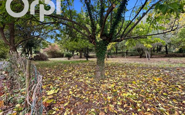 Maison à louer    2 pièces • 29,70 m2 Vesseaux