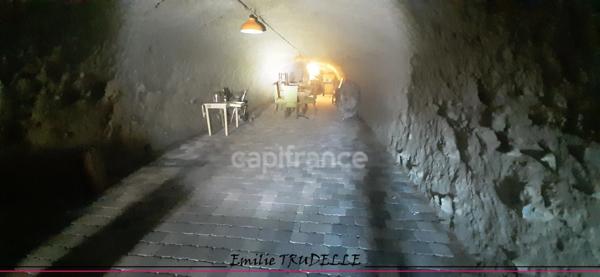 à vendre LA CHARTRE SUR LE LOIR (72) Cave Authentique de 80 m² dans la Roche sans terrain
