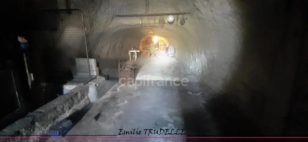 à vendre LA CHARTRE SUR LE LOIR (72) Cave Authentique de 80 m² dans la Roche sans terrain