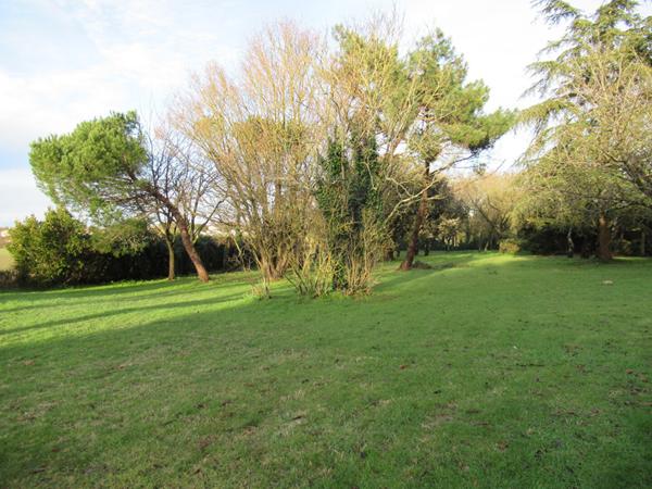 MAISON MEUBLEE A L'ANNEE GGE JARDIN