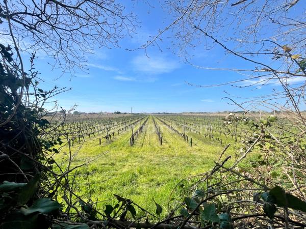 MAISON DE MAÎTRE 6 PIÈCES 172 M2