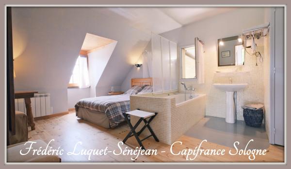 Propriété 9 pièces, piscine couverte, étang, dépendances sur 8 500 m² de terrain arboré à vendre à CHAON (41)