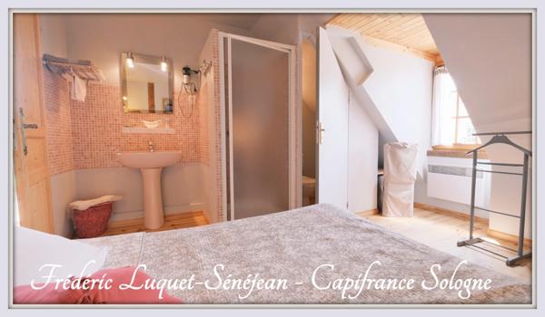 Propriété 9 pièces, piscine couverte, étang, dépendances sur 8 500 m² de terrain arboré à vendre à CHAON (41)