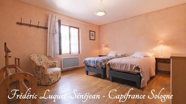 Propriété 9 pièces, piscine couverte, étang, dépendances sur 8 500 m² de terrain arboré à vendre à CHAON (41)