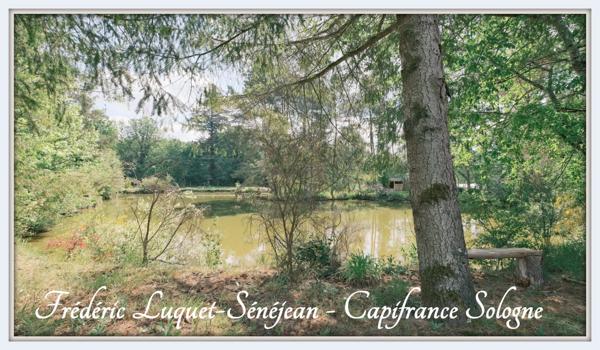 Propriété 9 pièces, piscine couverte, étang, dépendances sur 8 500 m² de terrain arboré à vendre à CHAON (41)
