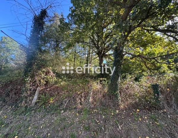 Terrain
        
        - 3030 m² Exclusivité 8 000 €*