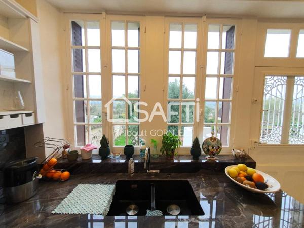 Demeure de charme au centre du village recherché de Thomery